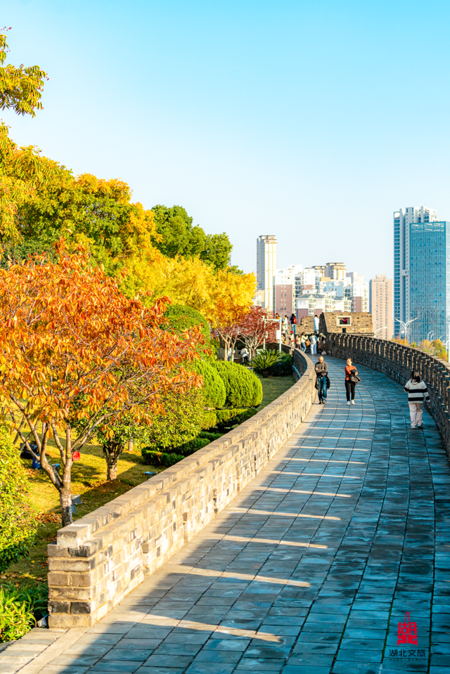 湖北这6座公园,你去过一半算我输!