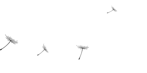 活动报名 | 游见秦淮——小西湖：“附近”的重建