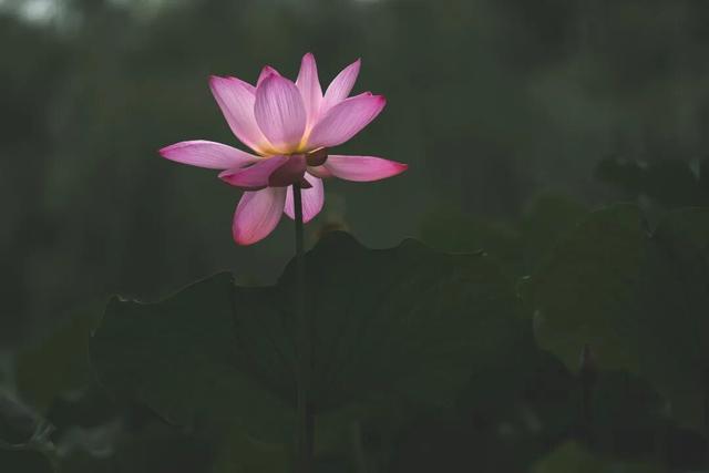 四时天工 扬州如画