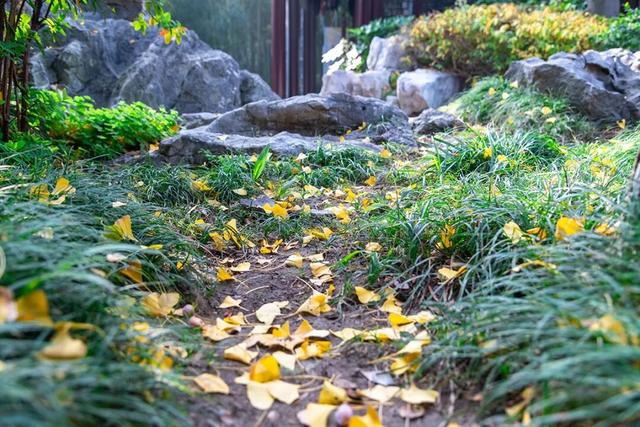 出片率100%！海陵“含金量”在上升！