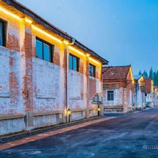 人在画中游！来上海郊野，骑进自然乡野秋韵里