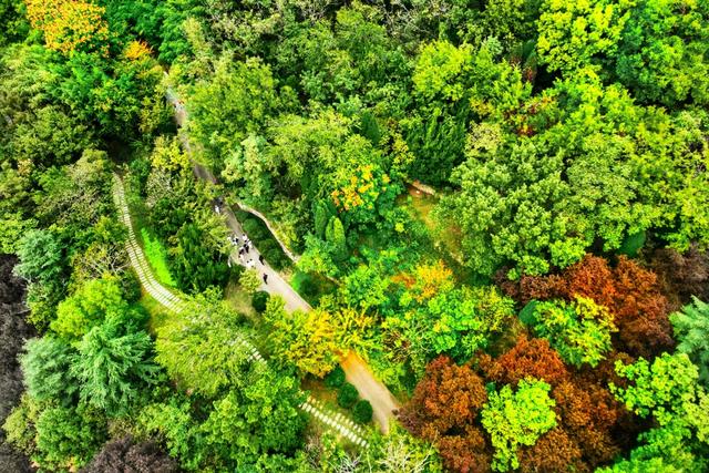 山海一画秋意浓