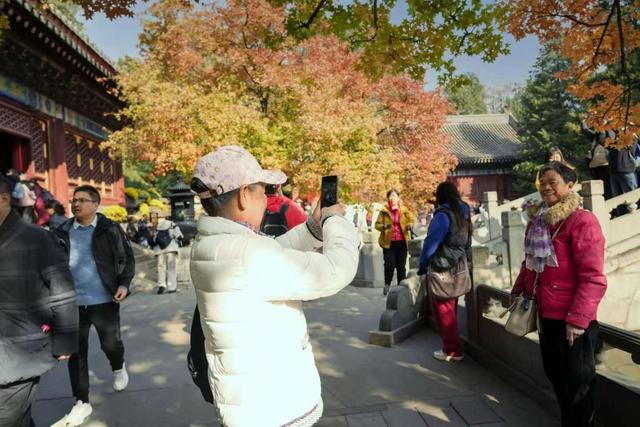 当香山红叶节邂逅重阳节，三条“银发路线”暖心上线