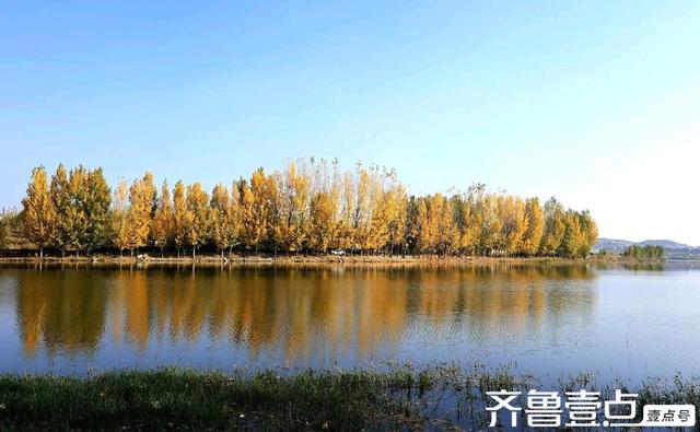 秀山东丨泰安市新泰，‌层林尽染映湖光，初冬绘就多彩画卷
