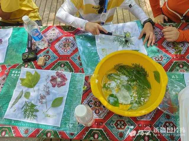 一方水土丨沙海藏着植物大观园