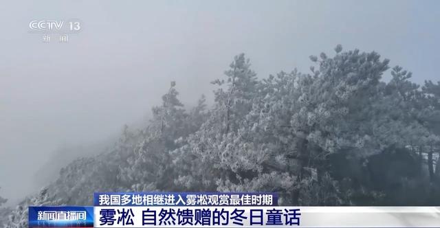 从冬日童话到四季可赏 科技让雾凇美景不再“可遇不可求”