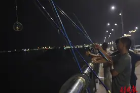 果然视频|数十根钓竿一字排开，市民扎堆烟台夹河大桥夜钓螃蟹图片
