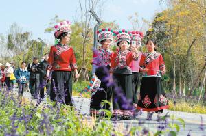 昆明冬日绿意暖