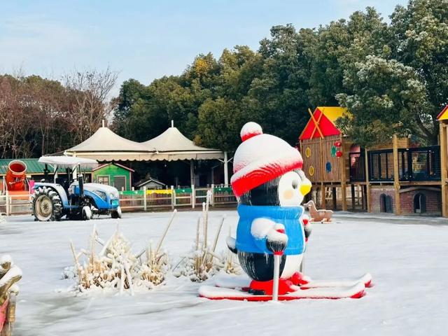 还去啥东北 金山就有“冰雪大世界”！