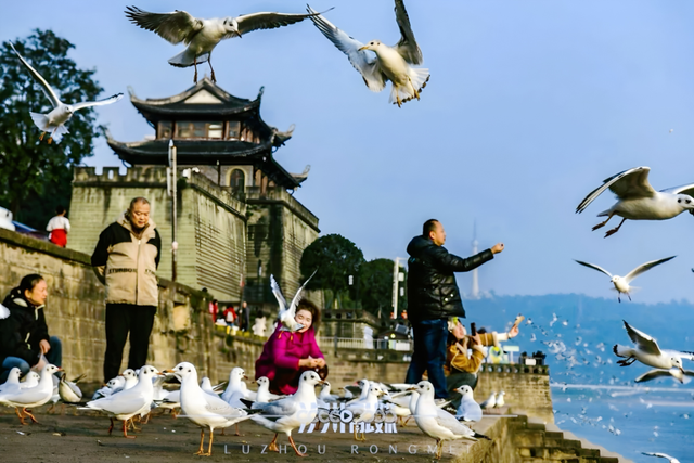 秋假遛娃不迷茫！泸州团团为你送上超全亲子出行指南~