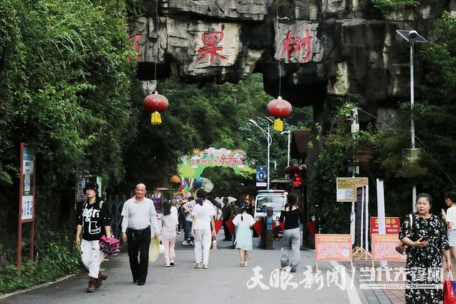 绥阳：夏日经济活力澎湃
