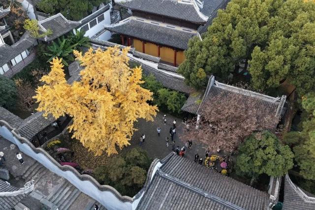 今天，这里挤爆了！