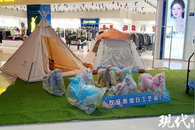 扬州举办2025外贸优品展销活动，助力外贸企业拓市场图片