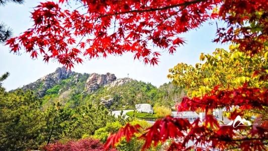 畅游青岛 文明相伴｜2025崂山赏秋地图发布，秋韵“大片”绝美上映！