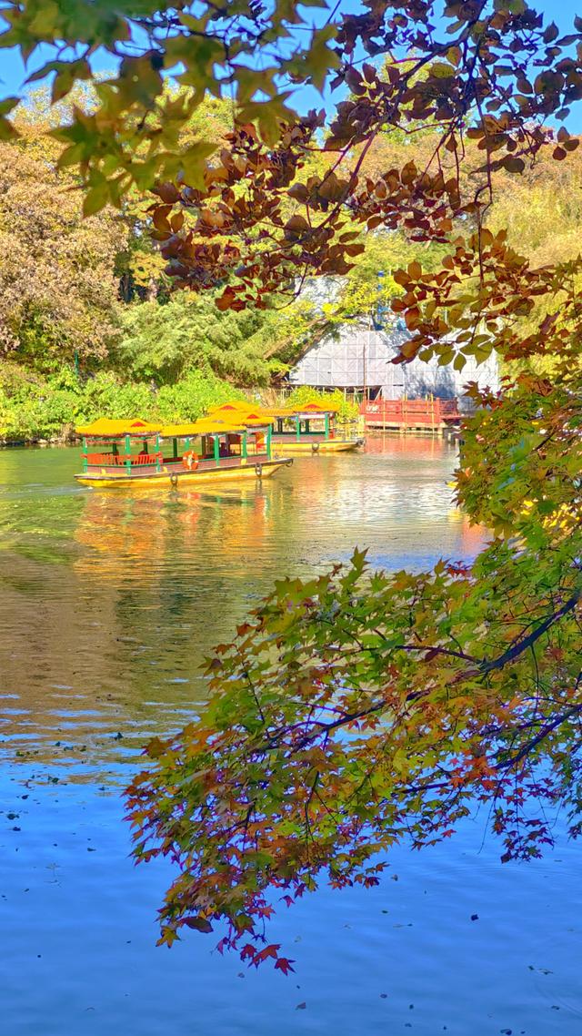 秋日静美！颐和园后湖五彩斑斓