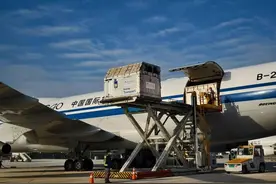 有点帅！又一批赛马抵杭，下月桐庐将举行国际马术大赛图片