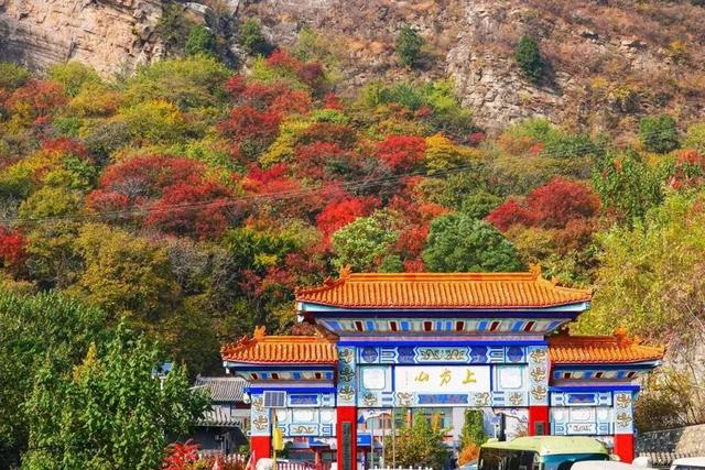 五彩斑斓！北京“漫山红叶”进最佳观赏期!