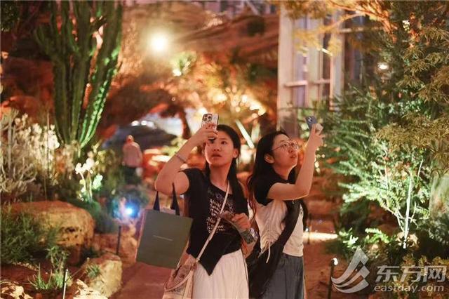 上海世博文化公园“璀璨之夜”重磅上线，把自然、艺术、科技、市集揉进八月的夏夜里