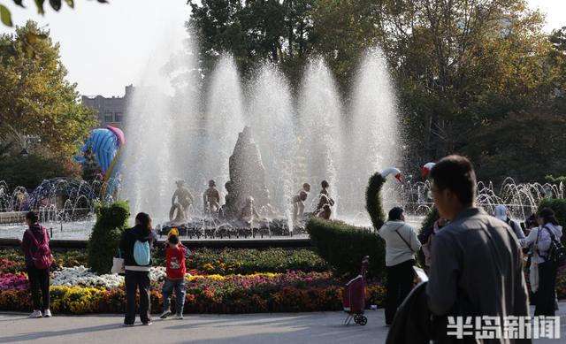 秋日赏菊正当时，老年游客成主力
