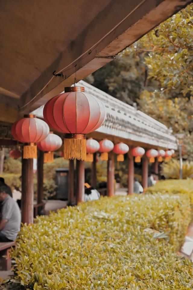 今天，带你一键解锁福安人的“精神快充站”！