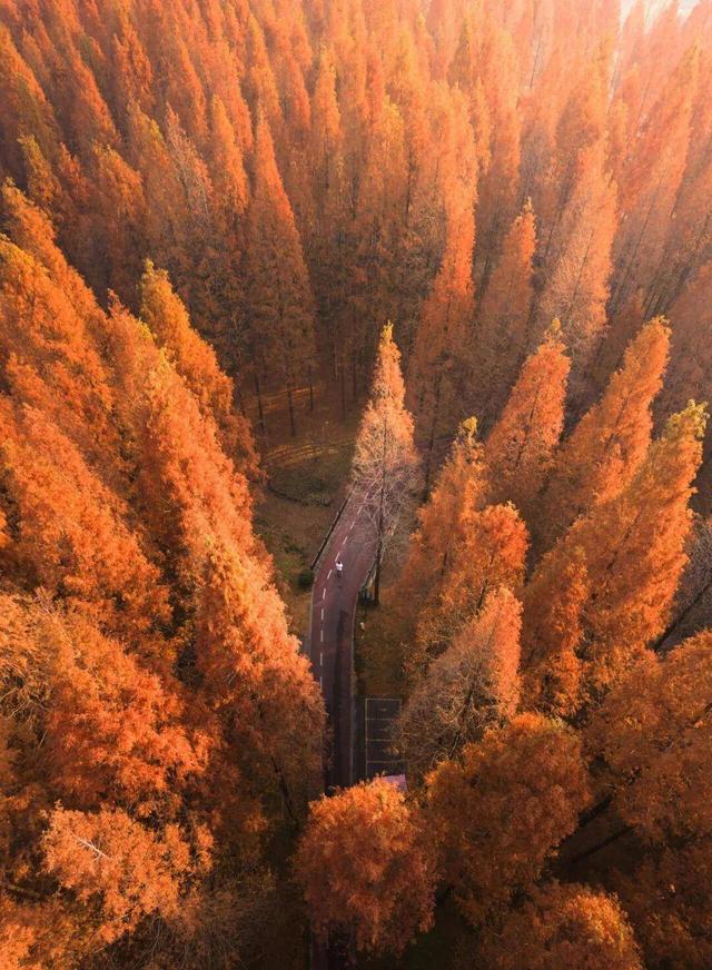 组图|黄海1号，331公里的秋日画廊