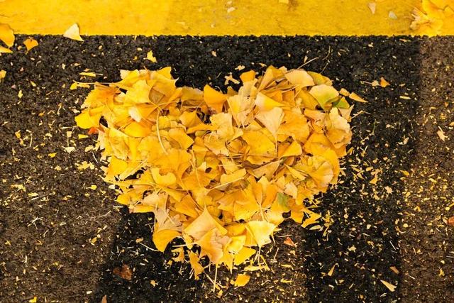 公安，等你入画