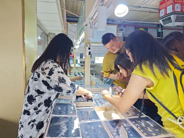 网络大V齐齐探四会！