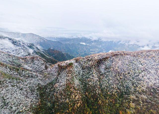 恩施巴东：雪吻秋山云海织锦