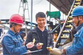 小黄姜有了美好“姜”来图片