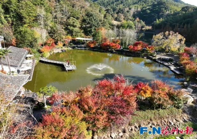 颜值巅峰！福州这个宝藏村落，正上演年度色彩盛宴！