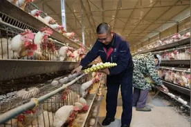 航空工业情满安顺•特别报道 | 凝心助帮扶 携手促振兴 ——航空工业定点帮扶普定、镇宁、关岭、紫云工作纪实图片