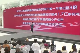 京东双11今晚开战！继续“又便宜又好”！未来3年再招万名采销图片