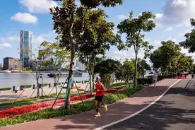 六点健康提示，让你在这个夏天“跑得更聪明”图片