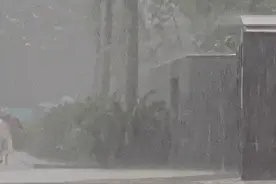 武汉预警连发！雷雨+10级大风到了图片