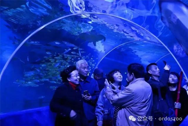今日开放自驾游，这些人免门票→