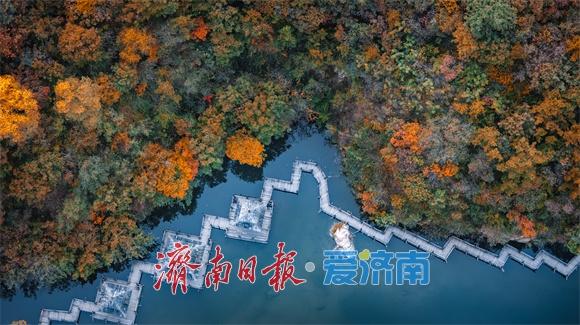 一年四季 泉在济南丨济南九如山：秋日斑斓如诗画，手工体验让秋天 “触手可得”