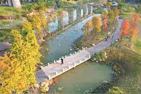 推窗见绿  抬脚入园图片