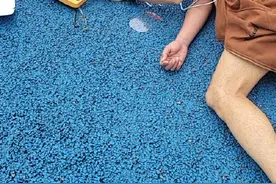 点赞！医生送娃上课救回一条命图片
