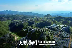绿电“黔”途无量！贵州电网公司助力新能源产业高质量发展图片