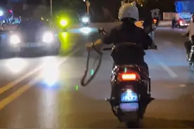 女服务员手抓大蛇骑车过市？店方：是菜花蛇，抓去放生了图片