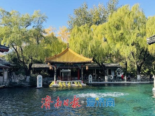 一年四季 泉在济南丨泉映蓝天柳拂岸 初冬趵突泉藏清趣