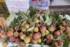 荔枝有望大降价！今年要重回“10元3斤”？图片