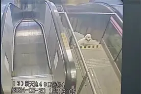 小狗迷路，误入地铁站，TA们忙活开了……图片