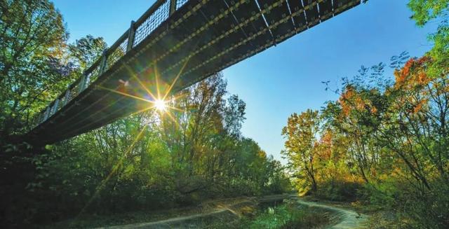 溪如画，影成诗……被舜耕山的初冬美景治愈了！