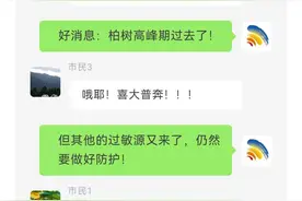 全国花粉始期预报来了！好消息是柏树花粉要走了，但……图片