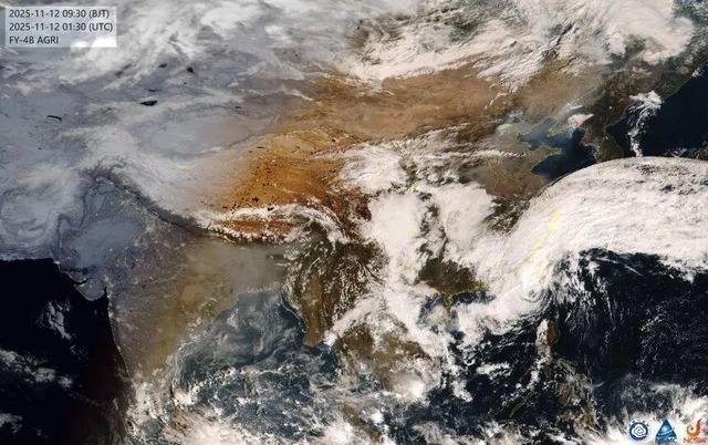 超8万人紧急撤离！大暴雨！台风“凤凰”或于今晚登陆