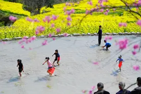 重庆酉阳：首届梯田菜花节 趣味竞技欢乐多图片