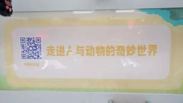 把红山动物园“搬”上车！南京最萌公交车来了