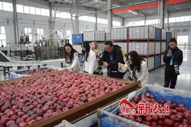 天水美景君须记 最是羲里娲乡行——2024年甘肃文旅网红创意大会采风创作活动侧记图片