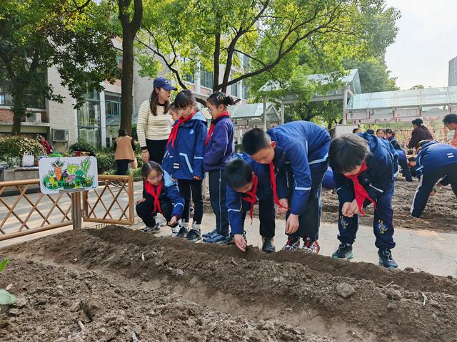 ​植树节 | ​盲盒开出惊喜！植树节校园里仪式感拉满